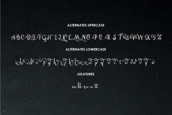 Eltton Font Poster 5