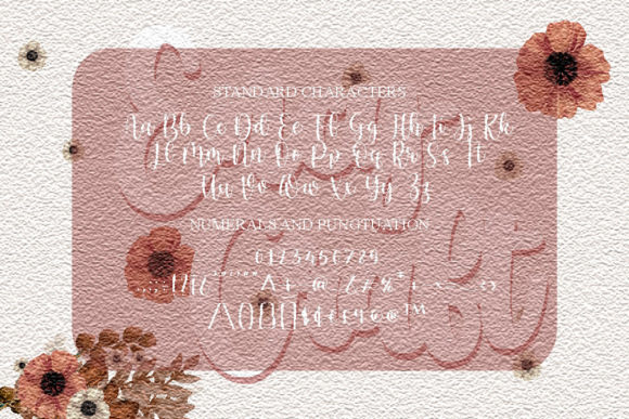 Ency Craft Font Poster 2