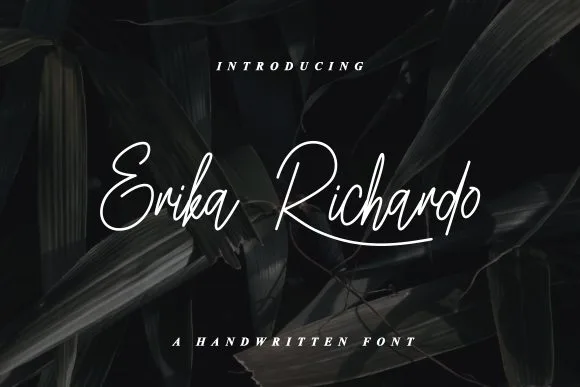Erika Richardo Font Poster 1