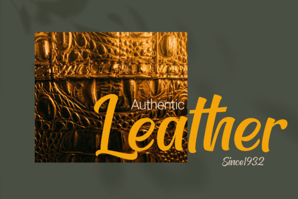Ethylene Font Poster 6