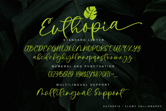 Euthopia Font Poster 7