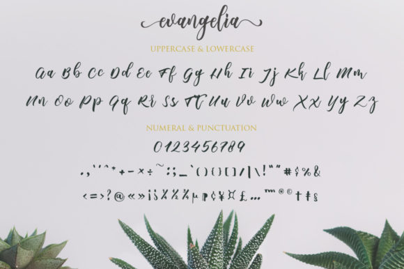 Evangelia Font Poster 12