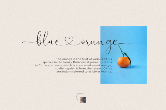 Evangelina Font Poster 2