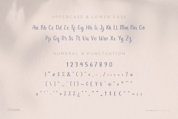 Eveliana Font Poster 14