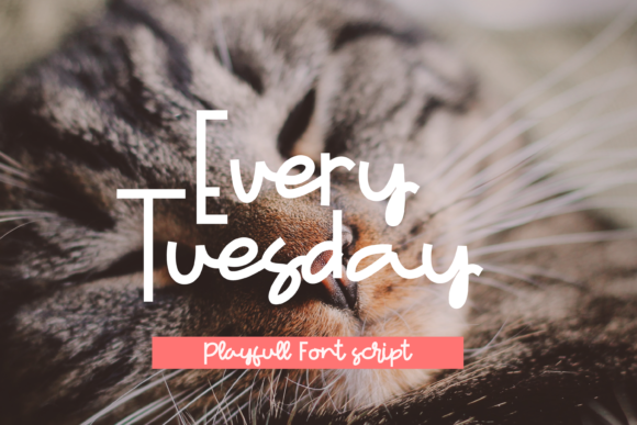 Every Tuesday Font Every Tuesday Font Poster 1