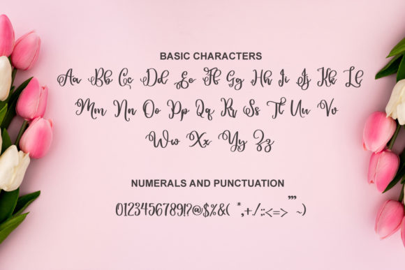 Falena Font Poster 5