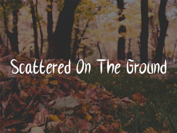 Fallen Leaves Font Poster 3
