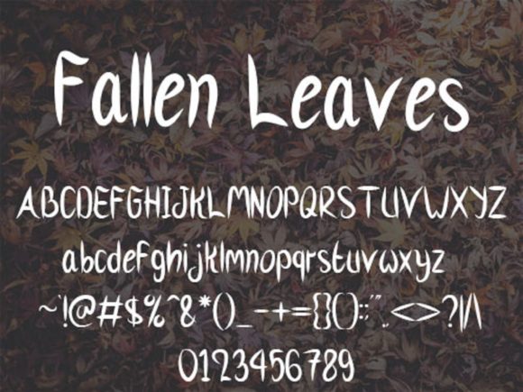 Fallen Leaves Font Poster 5