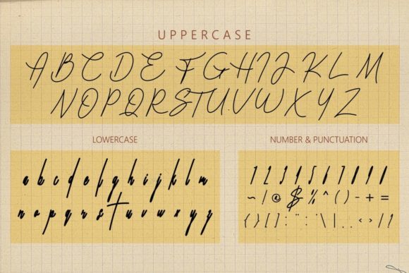 Falsetto Signature Font Poster 11