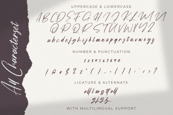 Fany Harlley Font Poster 14
