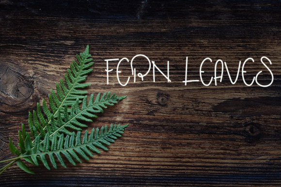 Farmhouse Font Poster 2
