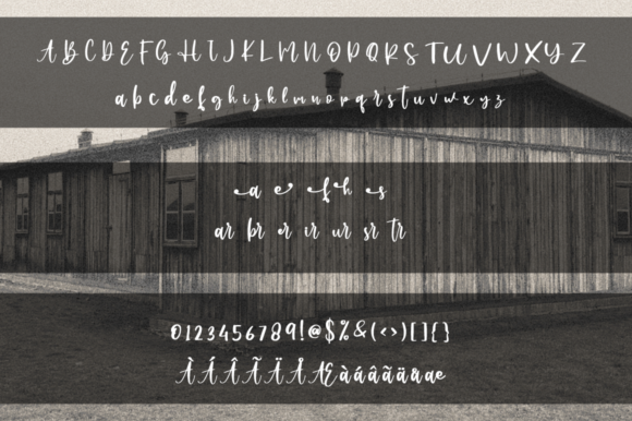 Farmhouse Shunsine Font Poster 7