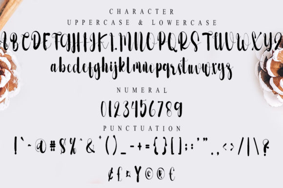 Fashions Font Poster 5