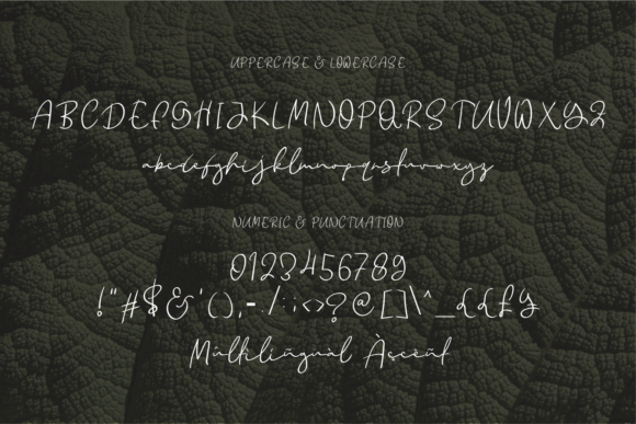 Fatkarafa Font Poster 5