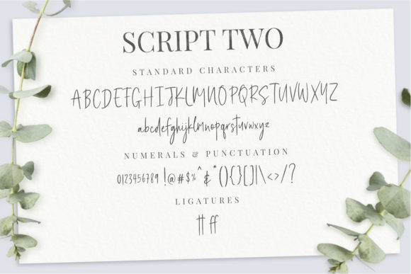 Felichiya Collection Font Poster 6