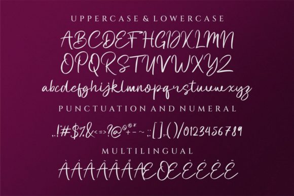 Felton Dafana Font Poster 7