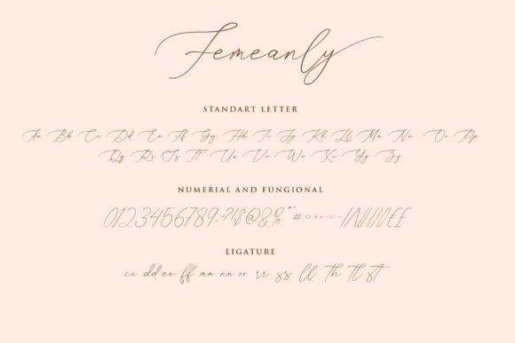 Femeanly Font Poster 13