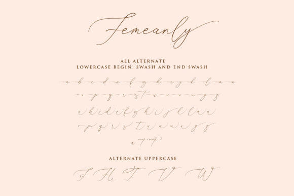 Femeanly Font Poster 14