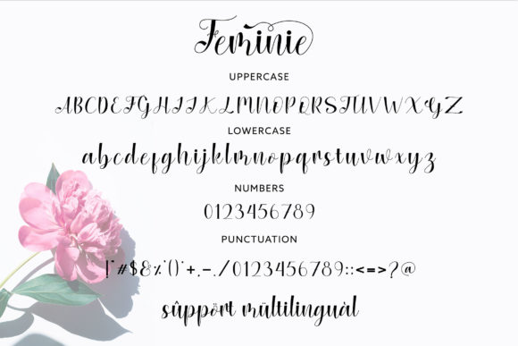 Feminie Font Poster 7