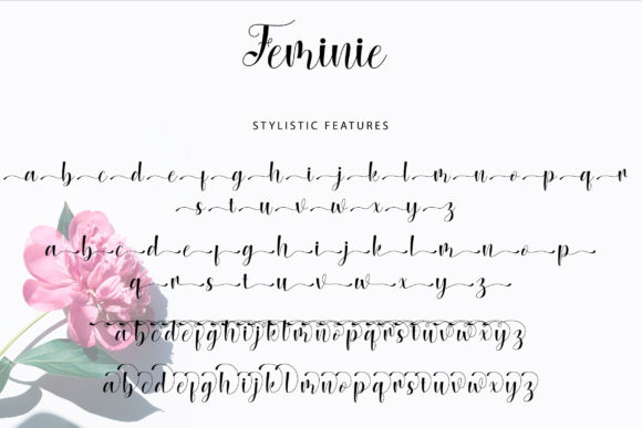 Feminie Font Poster 8