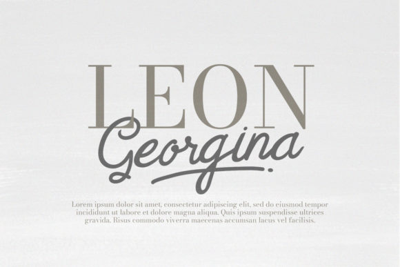 Feny Anjany Font Poster 2