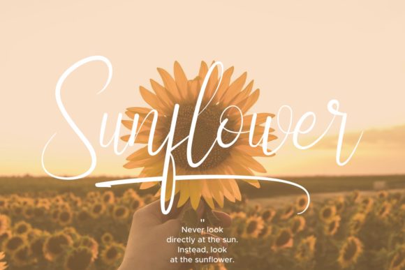 Fieldstone Font Poster 10
