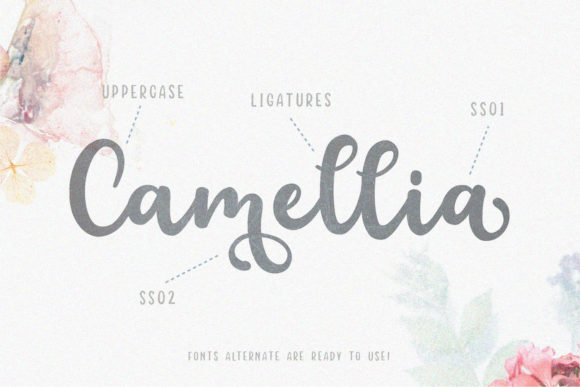 Floristy Font Poster 2