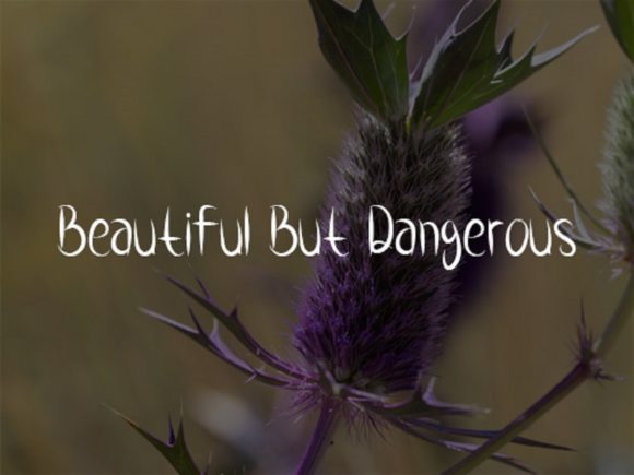 Flower Thorns Font Poster 3