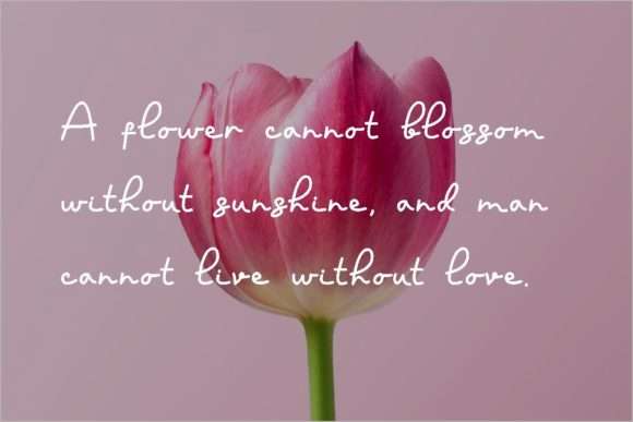 Flowerhy Font Poster 4