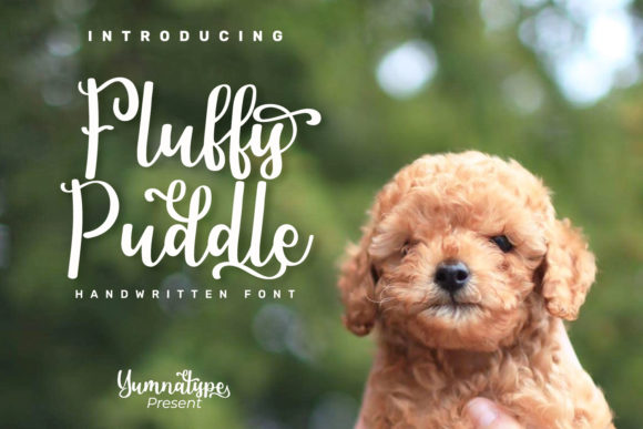 Fluffy Puddle Font Poster 1
