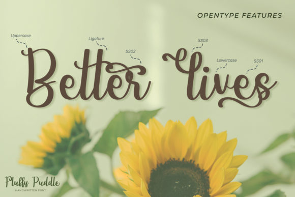 Fluffy Puddle Font Poster 6