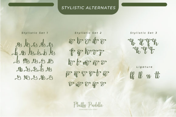Fluffy Puddle Font Poster 8