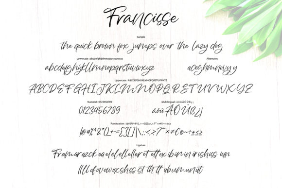 Francisse Font Poster 5