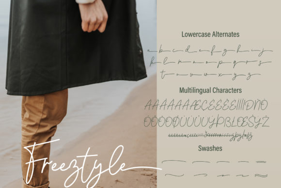 Freeztyle Font Poster 13