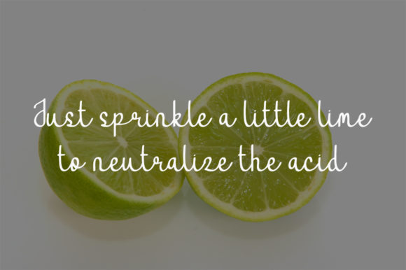 Fresh Lime Font Poster 4