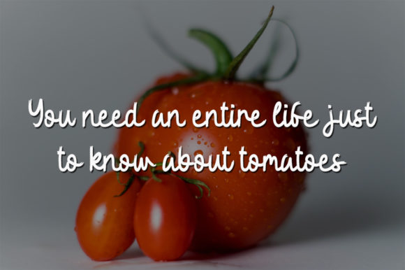 Fresh Tomato Font Poster 2