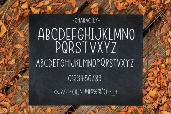 Fun Field Font Poster 3