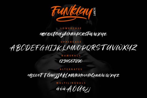 Funklay Font Poster 5