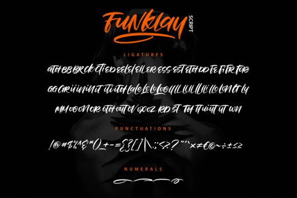 Funklay Font Poster 6