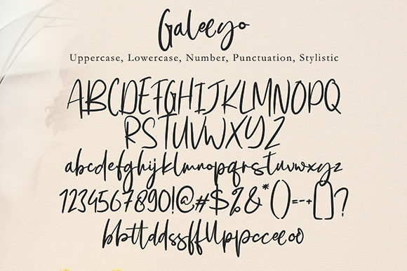Galeeyo Font Poster 7