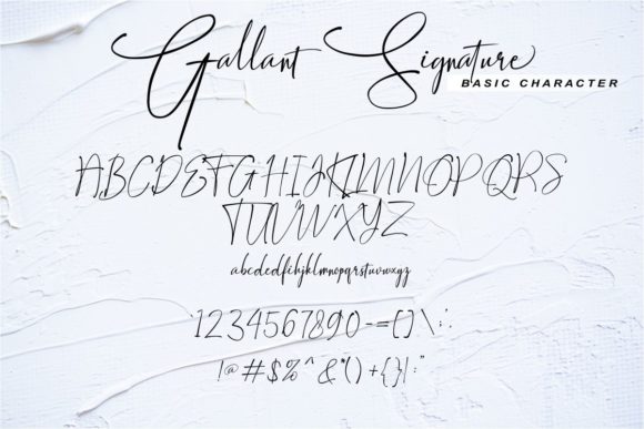 Gallant Signature Font Poster 7