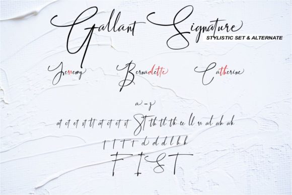 Gallant Signature Font Poster 8