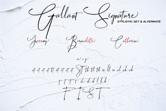 Gallant Signature Font Poster 8