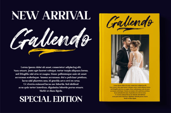 Gallendo Font Poster 14