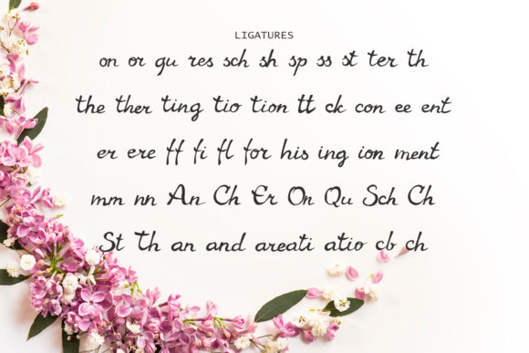 Gaura Font Poster 3