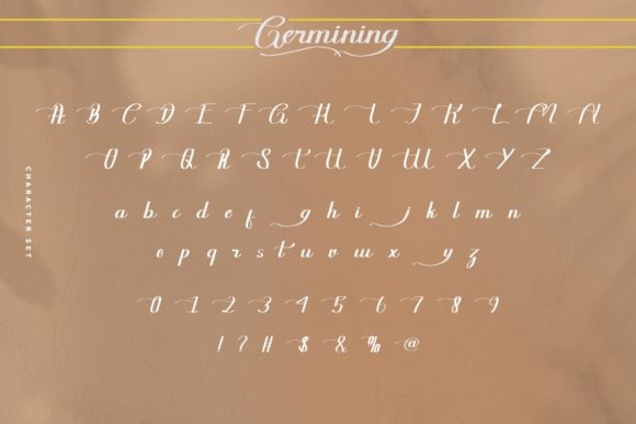 Germining Font Poster 4