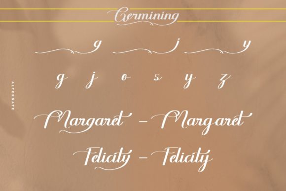 Germining Font Poster 6