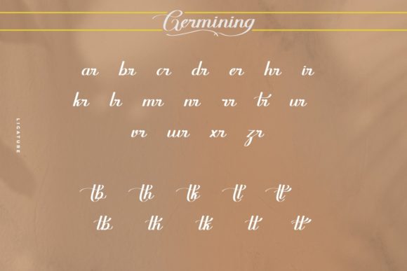 Germining Font Poster 8