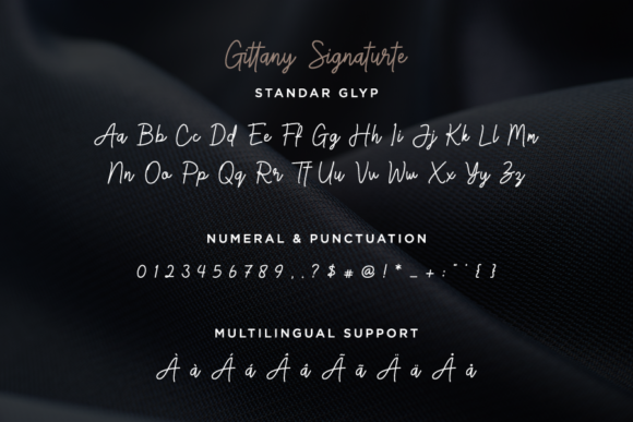 Gittany Signature Font Poster 6