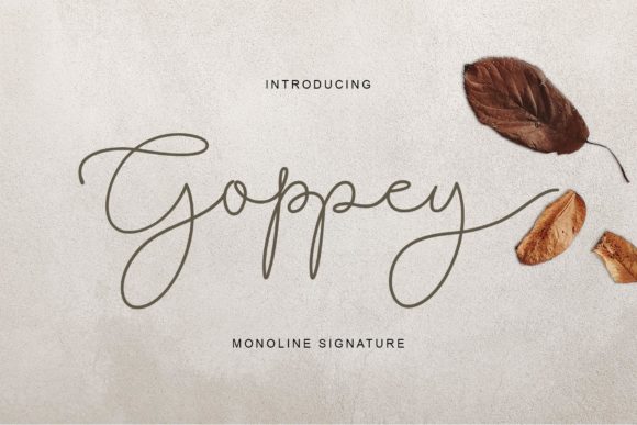 Goppey Font Poster 1